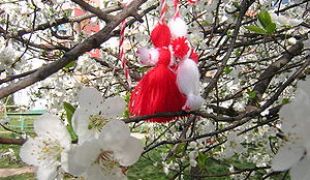 300px-martenitsa-blossom_s.jpg